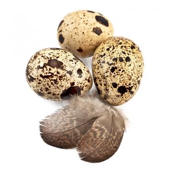 Royalty Free Photo of Quail Eggs and Feathers