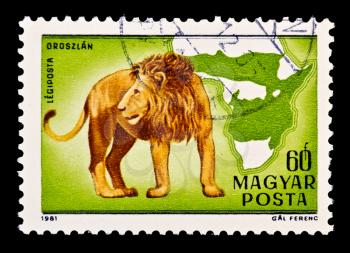 Royalty Free Photo of a Lion Stamp