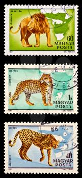Royalty Free Photo of Three Stamps With a Lion, Leopard and Cheetah