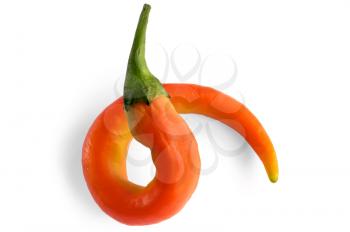 One pod of acute orange pepper isolated on white background