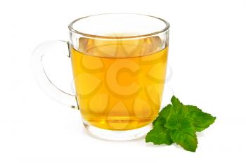 Herbal tea in a tall glass mug with a sprig of mint isolated on white background