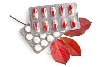 White round pill, red capsules in packs, with a sprig of red leaves irgi isolated on a white background