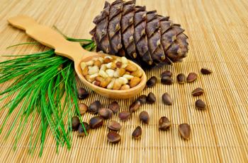 Cedar nuts, cedar bump, cedar nut kernels in a wooden spoon and a green sprig of cedar on a bamboo mat
