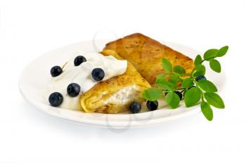 Two pancakes with cottage cheese, blueberries and a branch on a white porcelain plate, isolated on white background