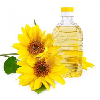 Vegetable oil in a bottle with three flowers sunflower isolated on a white background