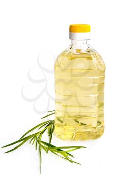 Vegetable oil in a bottle with a sprig of tarragon in isolation on a white background
