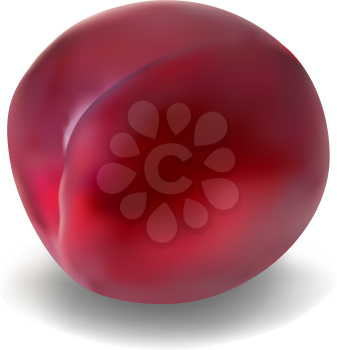 Royalty Free Clipart Image of a Plum