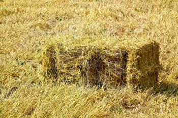 One bale of straw on a background of yellow field