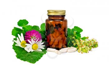 Capsules in a brown sealed jars and sprigs of mint, flowers of chamomile, clover, mignonette, sage leaf isolated on white background