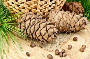 Cedar cones, nuts, green twigs, wicker basket on a background of burlap cloth and wooden board