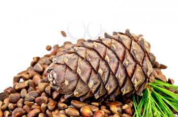 Pine nuts from the cone and cedar branch isolated on white background