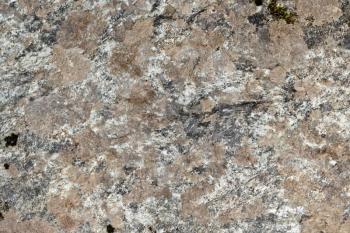 The texture of natural brown with white and black spots granite stone with patches of moss