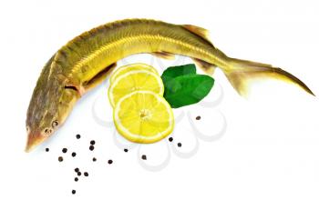 Sturgeon fish with lemon, pepper and lemon green leaves two isolated on white background