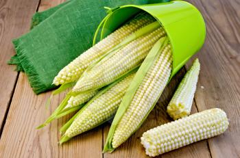 Corn on the cob with green bucket and napkin on the background of wooden boards