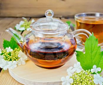 Herbal tea from the flowers of viburnum in glass teapot and cup, fresh flowers of viburnum on a wooden boards background