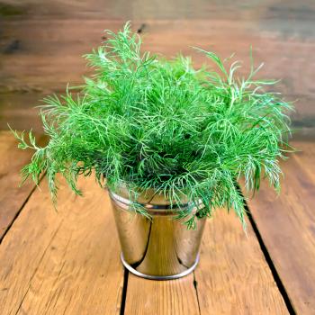 Dill fresh green in metal bucket on a background of wooden boards