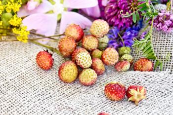 Wild ripe strawberries on the stems and wild flowers against the background of burlap