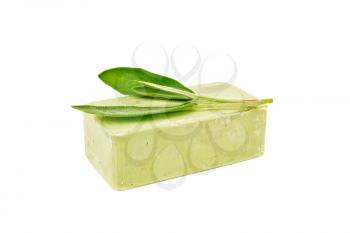 Green soap with sage sprig isolated on white background