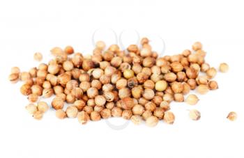 Royalty Free Photo of Seeds