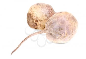 Royalty Free Photo of Root Vegetables