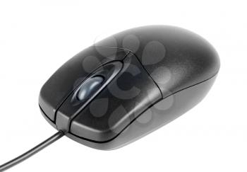 Royalty Free Photo of a Mouse
