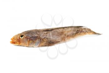 Dried bullhead (goby) isolated on white 


