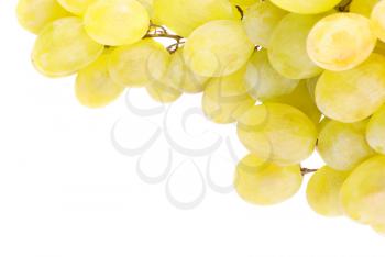 White grapes isolated on white background 
