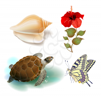 Royalty Free Clipart Image of Tropical Icons