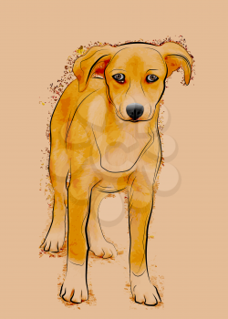Royalty Free Clipart Image of a Stray Dog