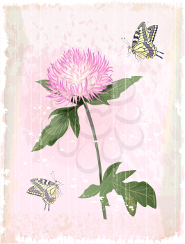Royalty Free Clipart Image of a Pink Aster