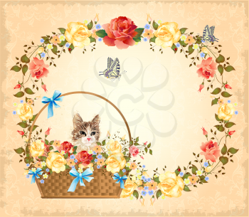 greeting card with cat,  roses and butterfly