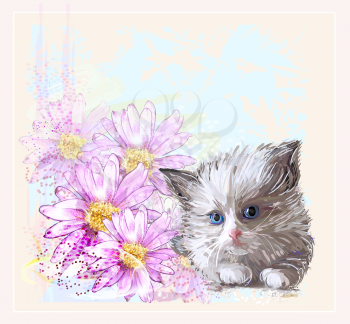 birthday card with  little fluffy kitten and gerberas