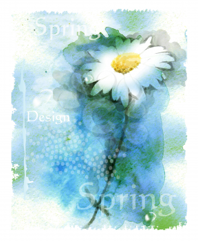 watercolor background with chamomile