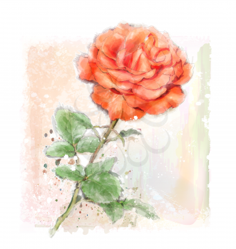 imitation of watercolor illustration of red rose