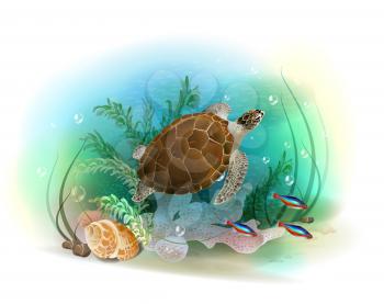Sea turtle swims in the ocean. Illustration of the tropical underwater world. Aquarium fish.