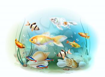 Illustration of the tropical underwater world. Aquarium fish.