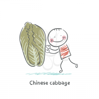 Chinese cabbage and the man