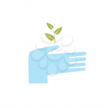 hand holding a sprouting plant and protects it