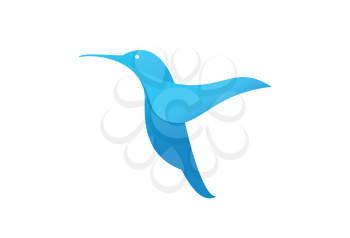 Flying hummingbird or logo template.