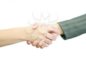 closeup of people shaking hands 
