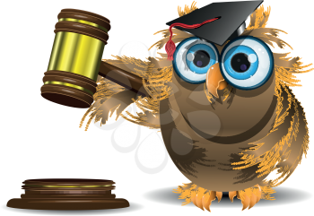 Royalty Free Clipart Image of a an Owl With a Gavel
