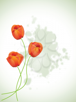 Royalty Free Clipart Image of Three Tulips