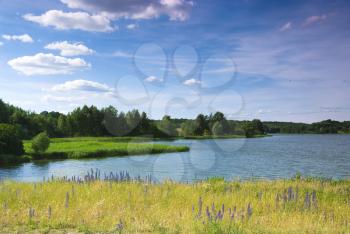 Royalty Free Photo of Wildflowers Near a Lake