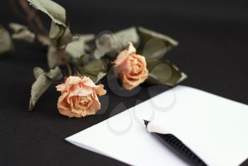 Royalty Free Photo of Roses and a Letter