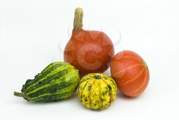 Royalty Free Photo of a Variety of Gourds