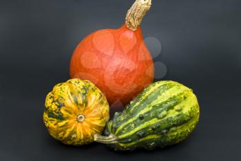 Royalty Free Photo of a Variety of Gourds