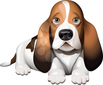 Royalty Free Clipart Image of a Basset Hound Puppy