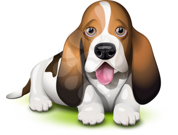 Royalty Free Clipart Image of a Basset Hound Sticking Out Tongue