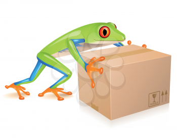 Royalty Free Clipart Image of a Tree Frog Delivering a Cardboard Box