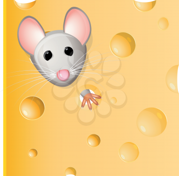 Royalty Free Clipart Image of a Mouse Eating Cheese